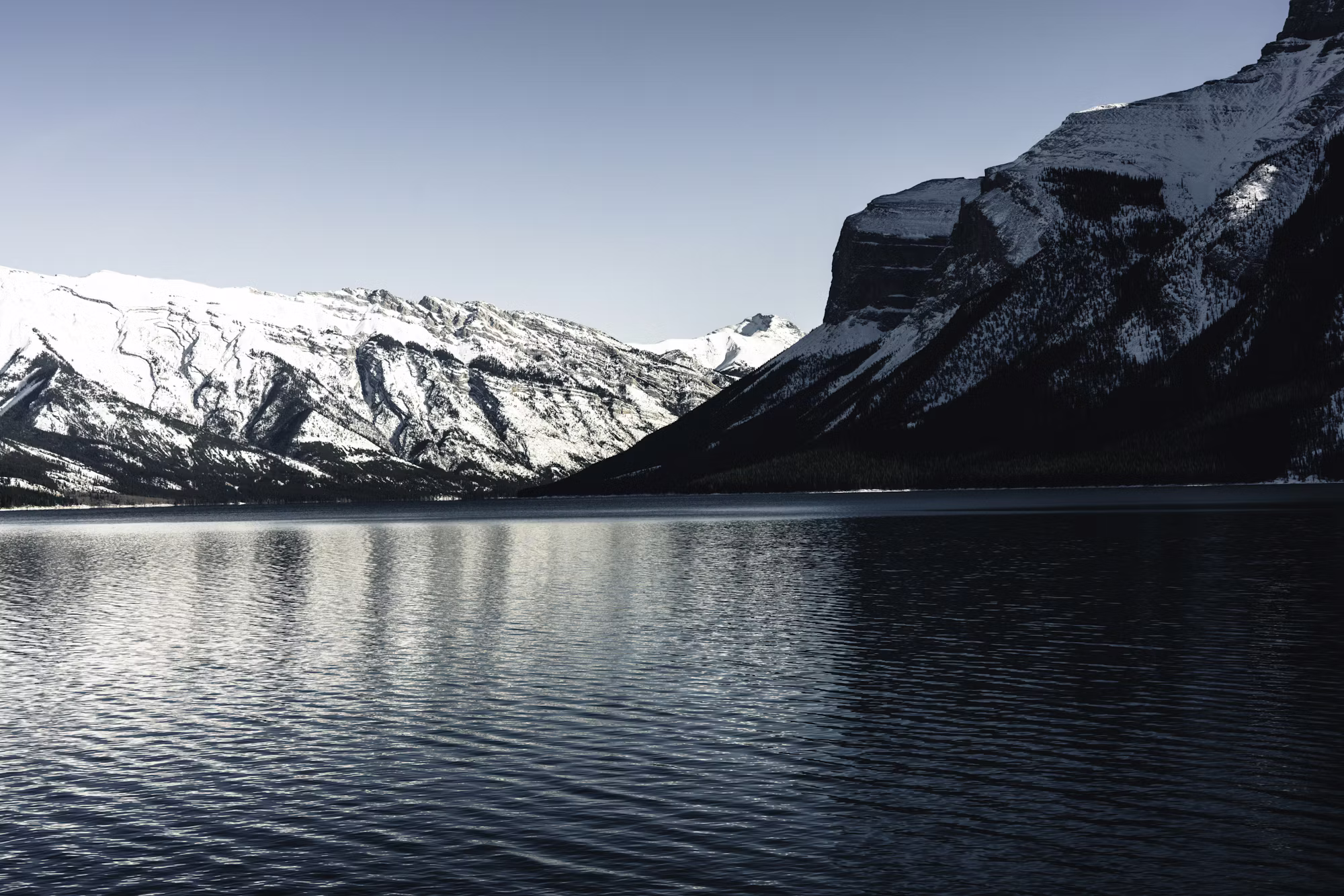 Exploring the World of Birdwatching: A Guide for Enthusiasts