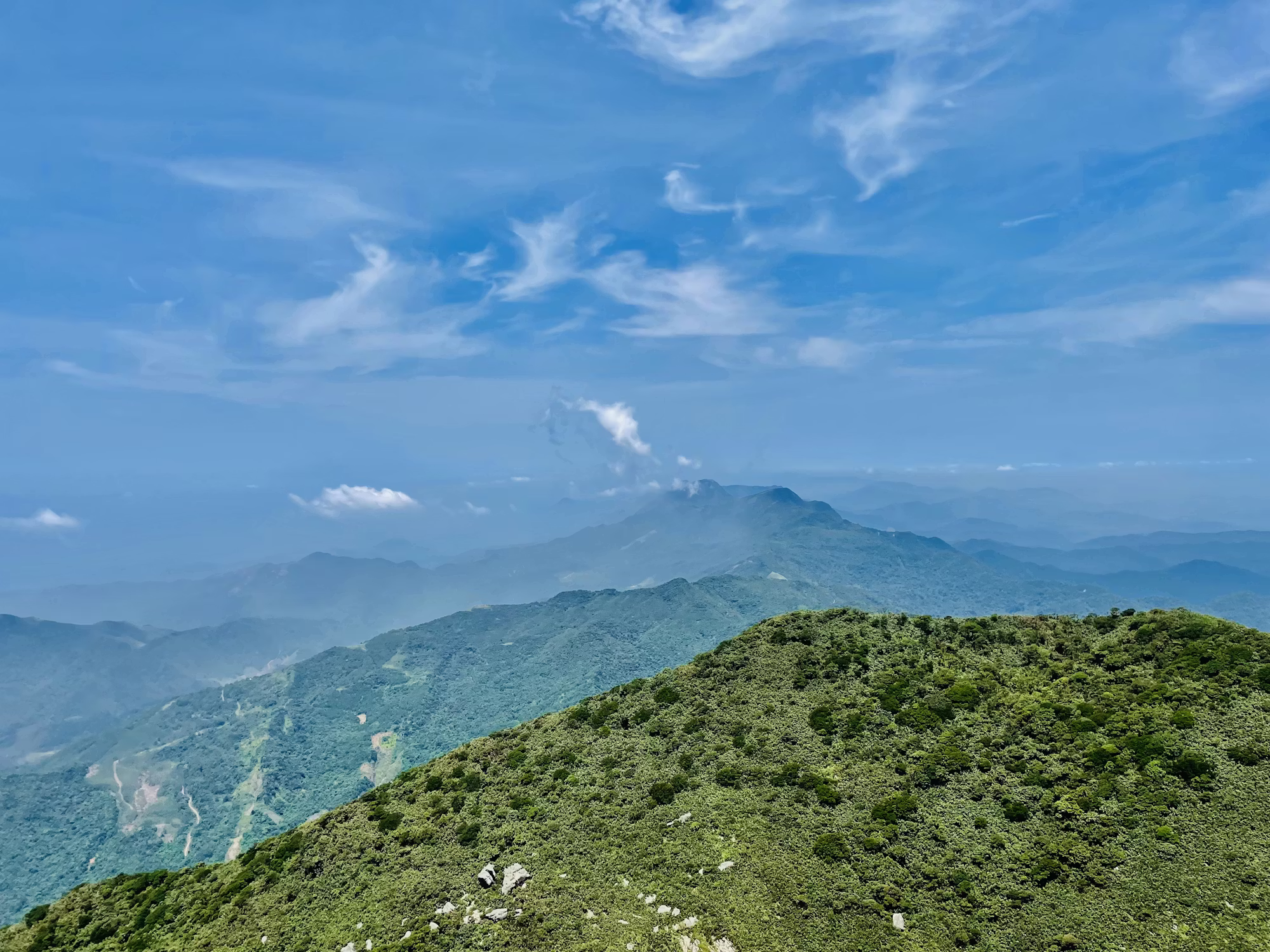 The Art of Gardening: Cultivating Beauty and Sustainability